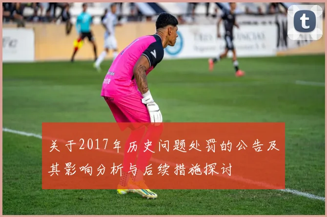 关于2017年历史问题处罚的公告及其影响分析与后续措施探讨